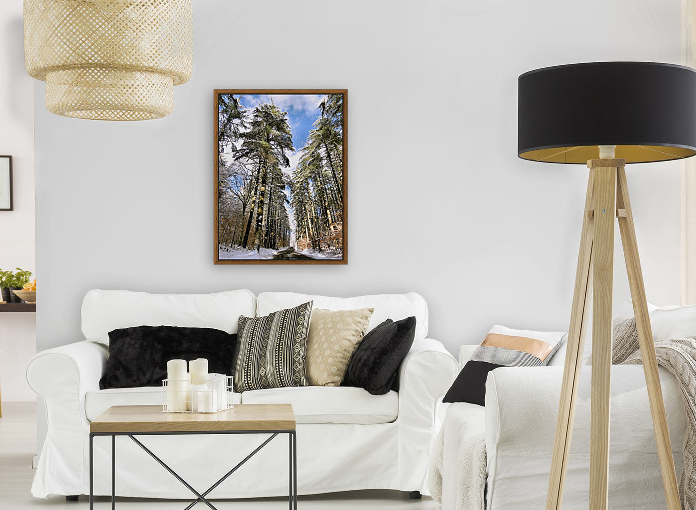 Tall pines  Reproduction