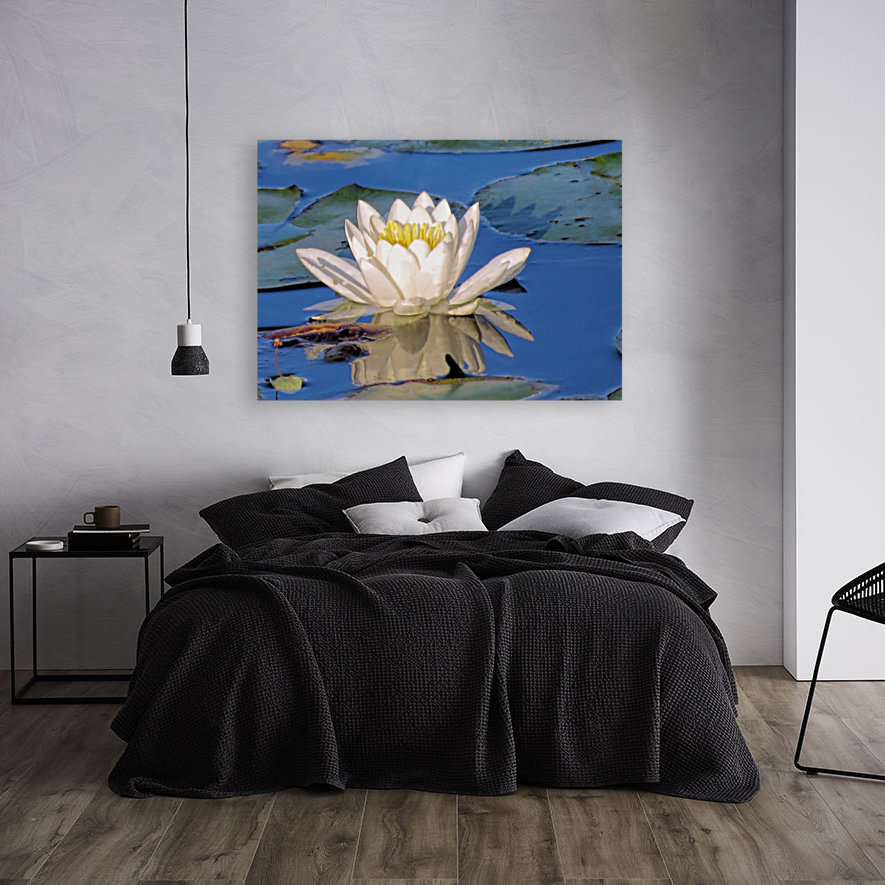 Water lily reflection Reproduction