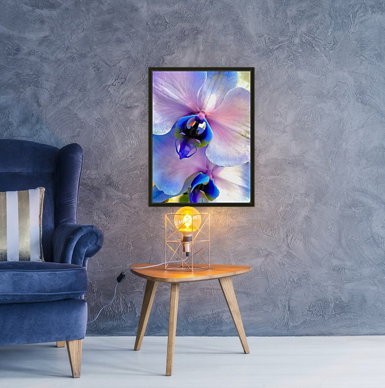 Orchids  Reproduction