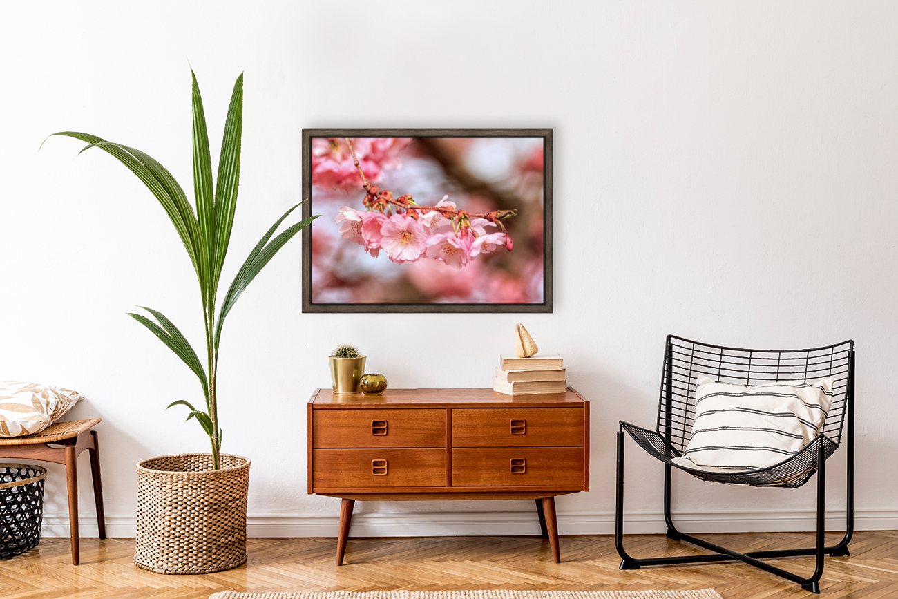 Spring pink cherry blossoms Reproduction