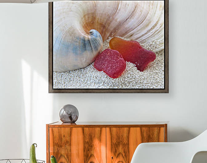 Beach Jewels by Photography by Janice Drew