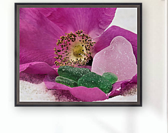Sea glass and beach rose by Photography by Janice Drew