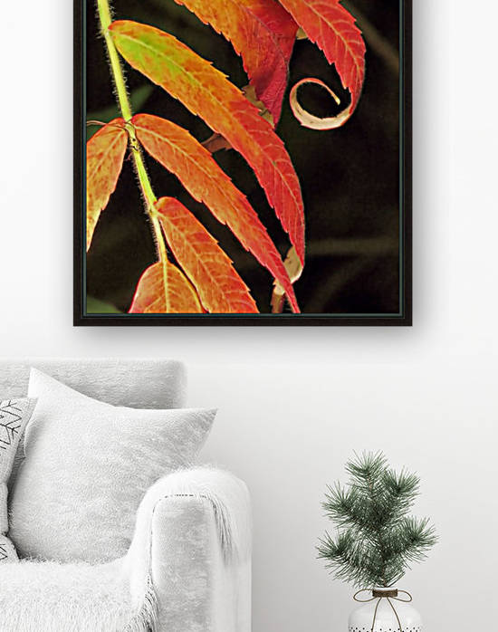 Staghorn sumac by Photography by Janice Drew
