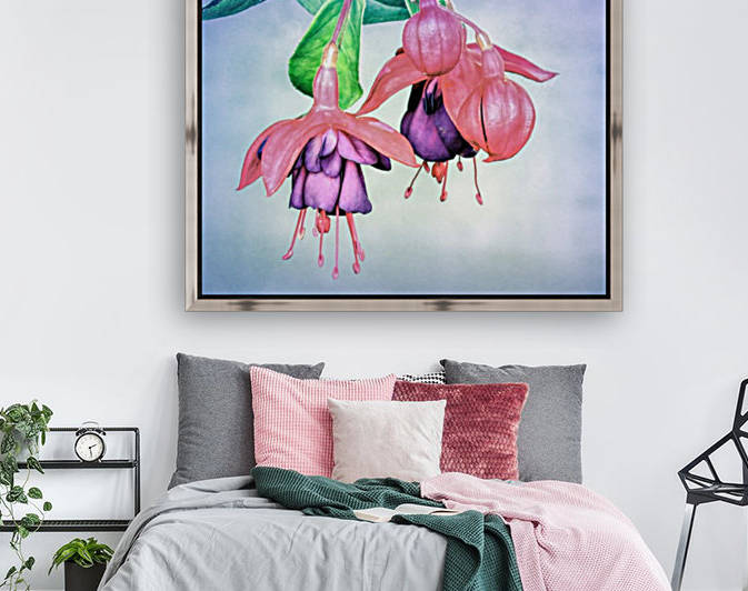 Fuchsia by Photography by Janice Drew