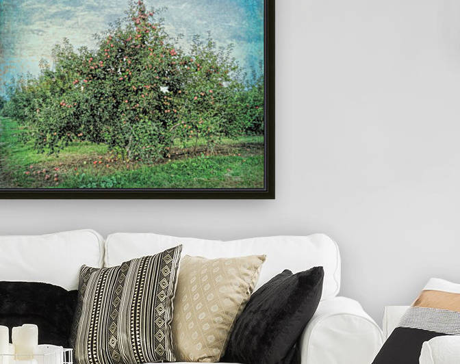 Apple tree by Photography by Janice Drew