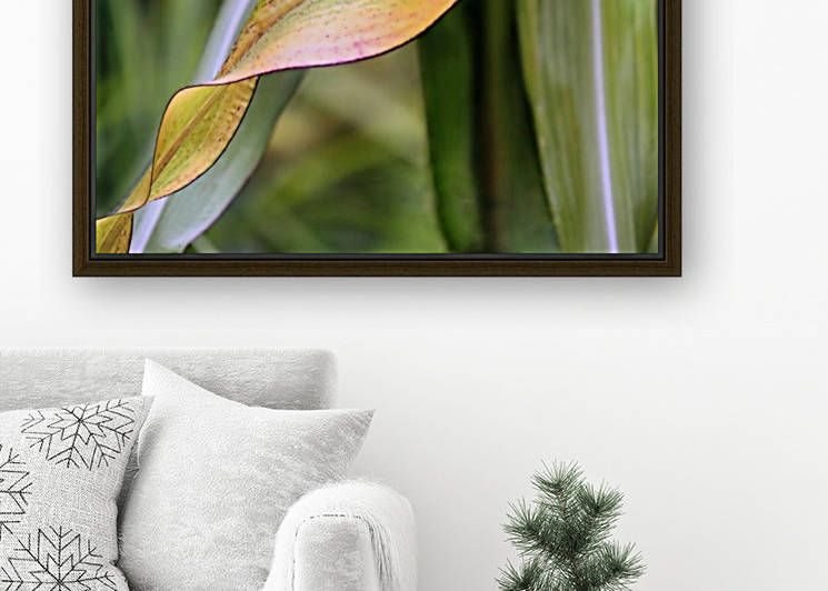 Flint corn leaf by Photography by Janice Drew