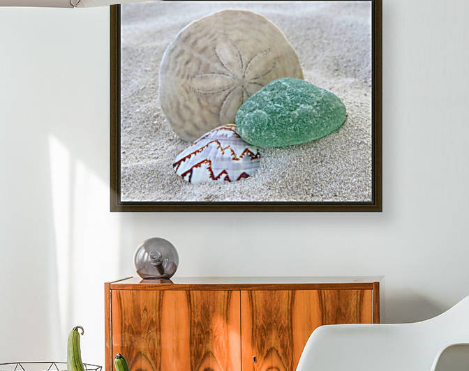 Sea foam green and sand dollar by Photography by Janice Drew