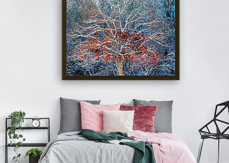 Tree of Two Seasons by Photography by Janice Drew