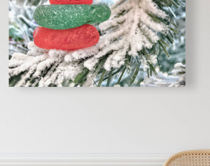 Merry and Bright  by Photography by Janice Drew