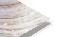 Beach Jewels HD Metal print