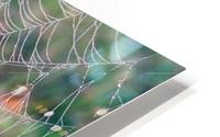 Spider web HD Metal print