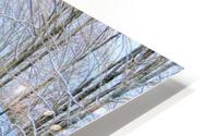 Winter barn scene HD Metal print