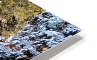 River reflections  HD Metal print
