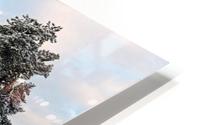 Winter pond HD Metal print