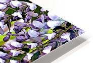 Wisteria HD Metal print