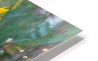 Sunflower beauty HD Metal print