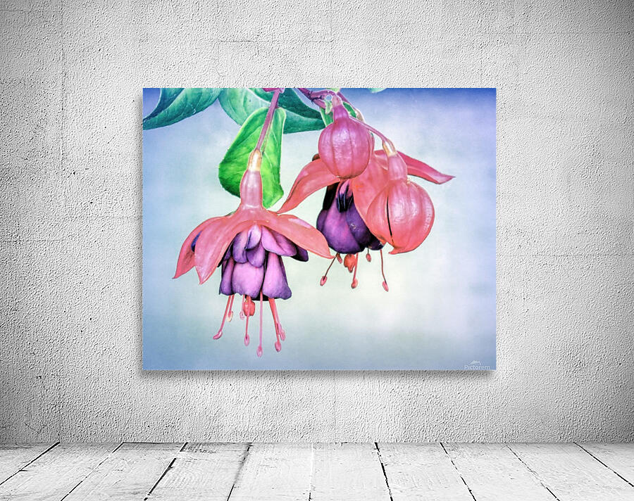 Fuchsia Wall Preview