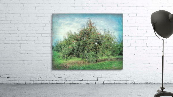 Apple tree Wall Preview