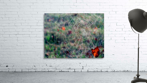 Spider web Wall Preview