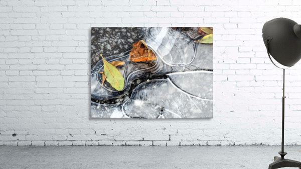 Ground patterns Wall Preview