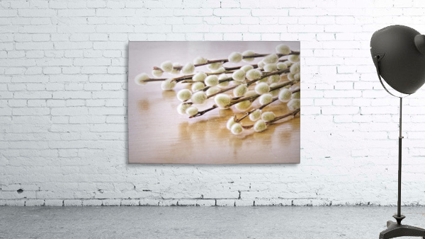 Pussy willows Wall Preview