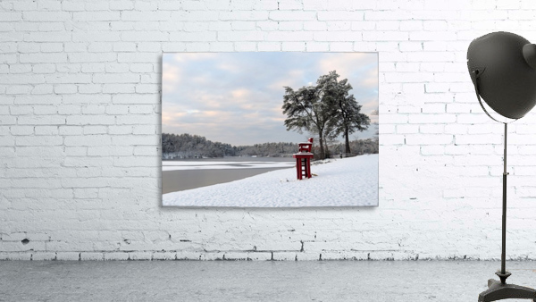 Winter pond Wall Preview