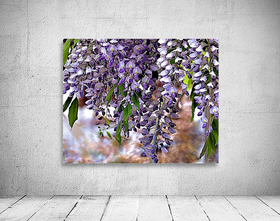 Wisteria Wall Preview