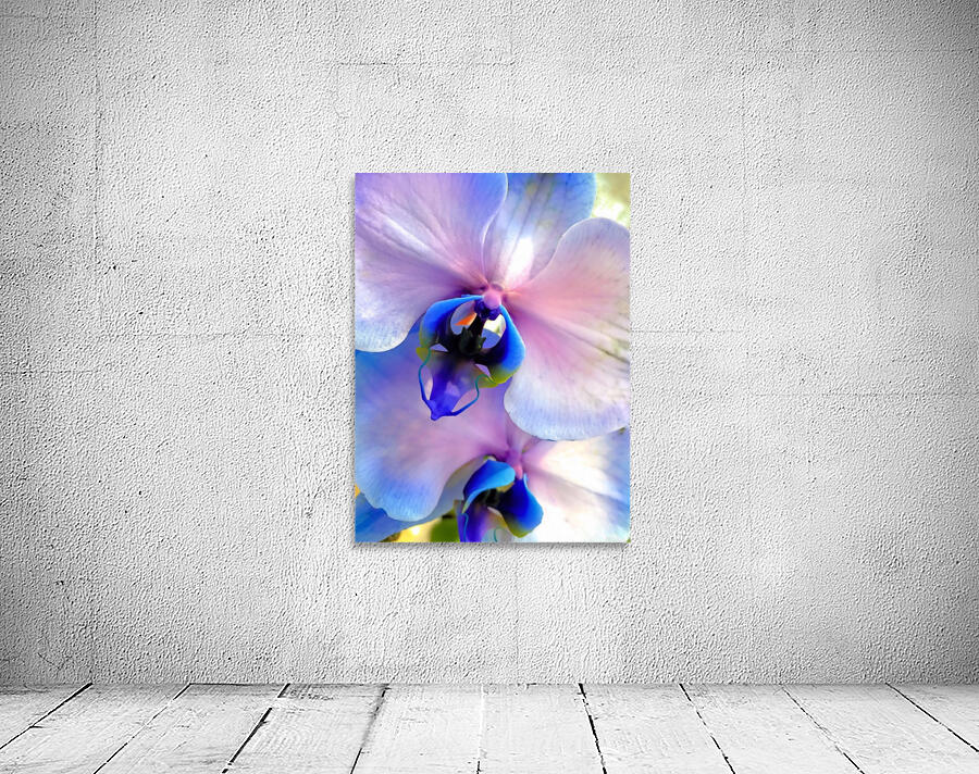 Orchids  Wall Preview