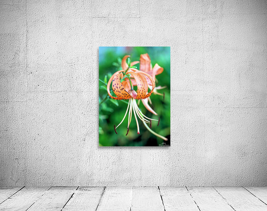 Tiger lilies  Wall Preview