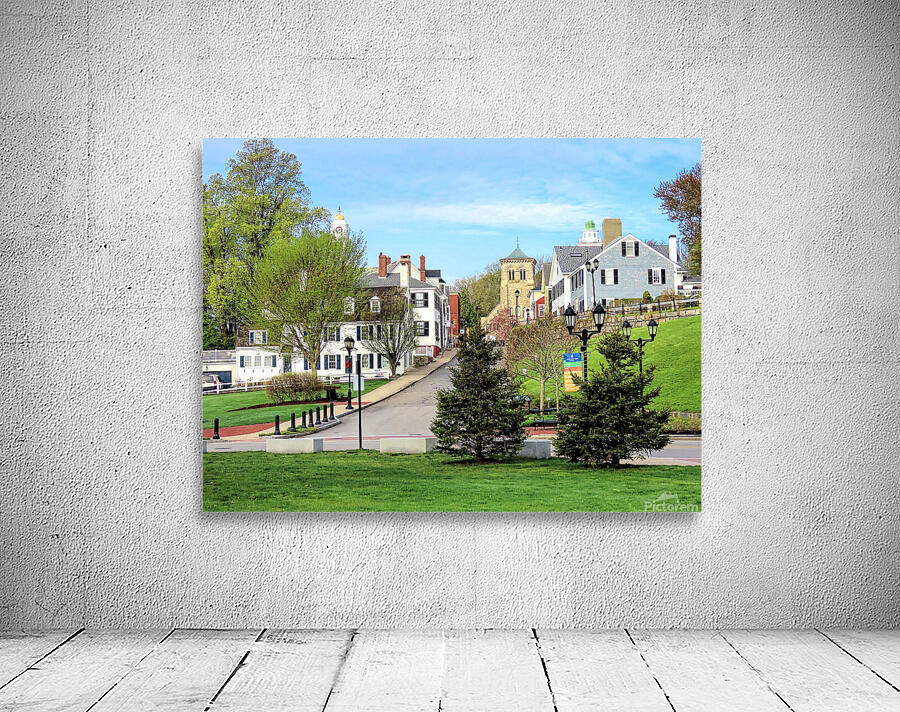 Spring on Leyden Street Wall Preview