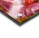Guarded Rose Acrylic print