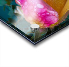 Pink Seymore Acrylic print