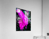 Pink Teardrop Acrylic Print