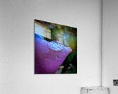 Pink Dewdrop Acrylic Print