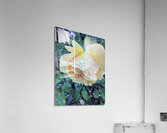 Morning Dew Acrylic Print