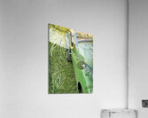 Go Green Acrylic Print