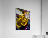 Yellow Shade Acrylic Print