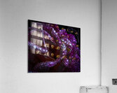 Purple Passion Acrylic Print