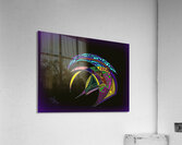What The 1 Acrylic Print