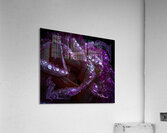 Electric Pink Acrylic Print