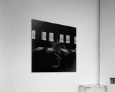 Ghost Stallion Acrylic Print