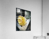Yellow Soul Acrylic Print