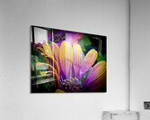 Neon Garden Acrylic Print