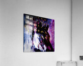Electric Mustang Acrylic Print