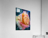Strawberry Shortcake 2 Acrylic Print