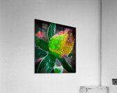 Florescent Rain Acrylic Print