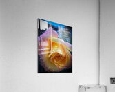 Sunset Pink Acrylic Print