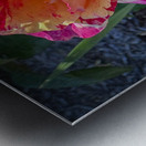 Pink Lemonade Metal print