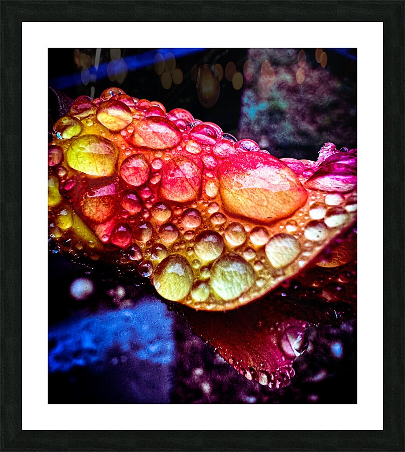 Glowing Dew Drop Picture Frame print