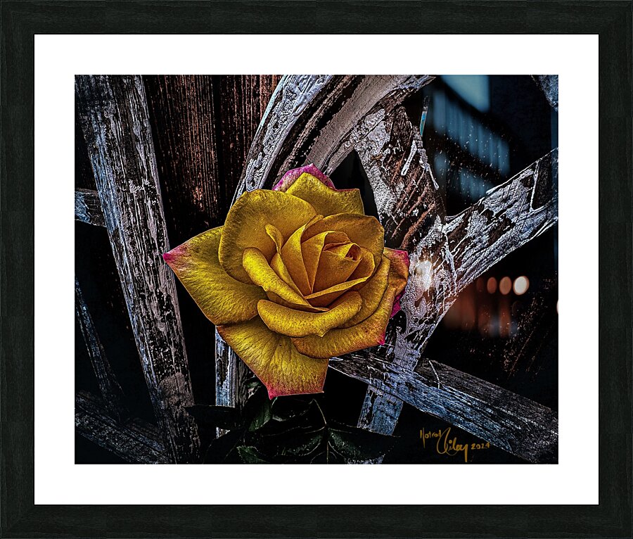 Distress Picture Frame print